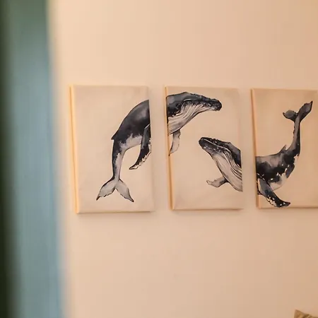 Monsea Prázdninový dům