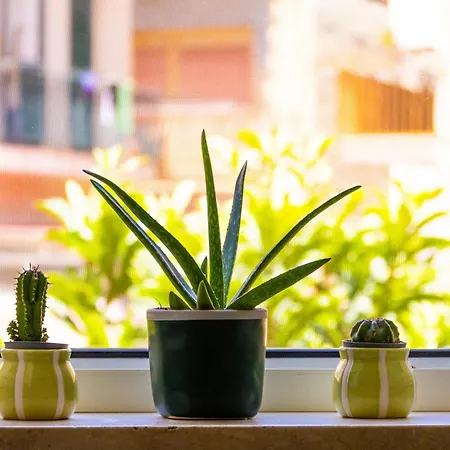 Prázdninový dům Monsea Palermo