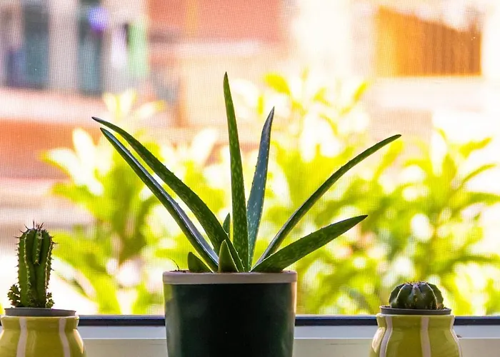 Tatil Evi Monsea Palermo